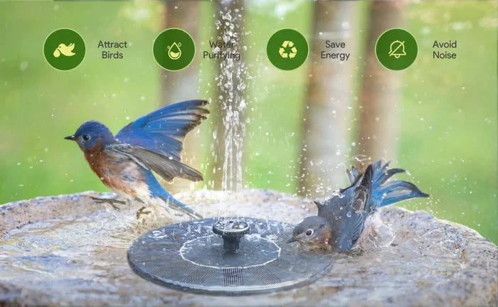🏆Flash Sale⚡Solar Bath Fountain with 6 Nozzle